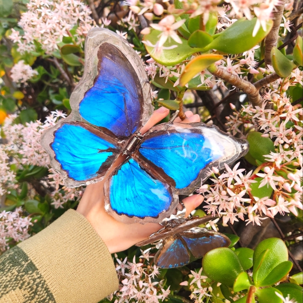 Handmade Butterfly Hair Clip (pre-order)